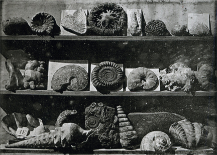 louis-daguerre-fossils.jpg